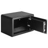 Super mini size biometric safe
