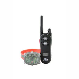 Dog Trainer with Night Sight Technology