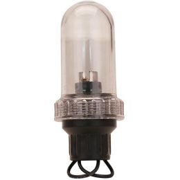 General Purpose Light,3/4" IPT Base-Clear