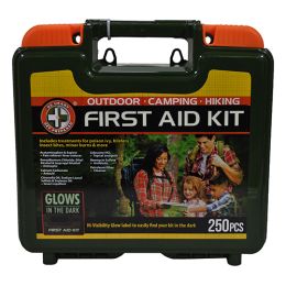 250 Piece First Aid Kit